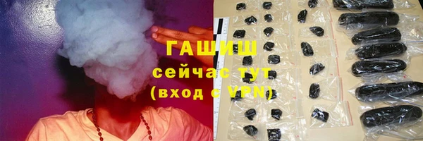 сатива Гусев