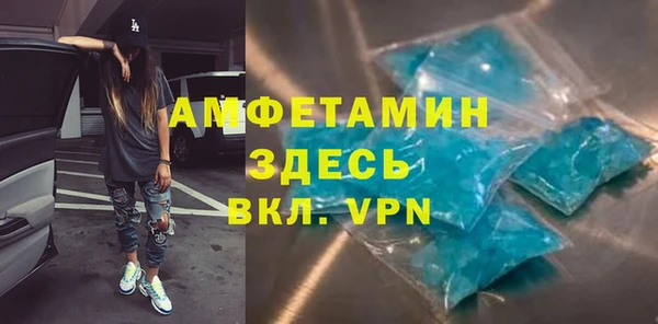 сатива Гусев