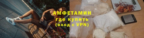 сатива Гусев