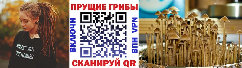 Галлюциногенные грибы прущие грибы  цены   Мценск 